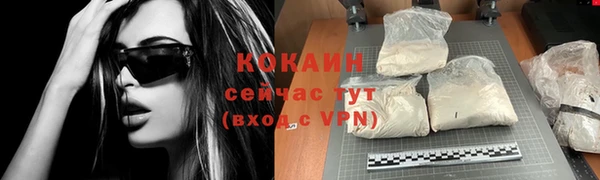 дмт Кодинск
