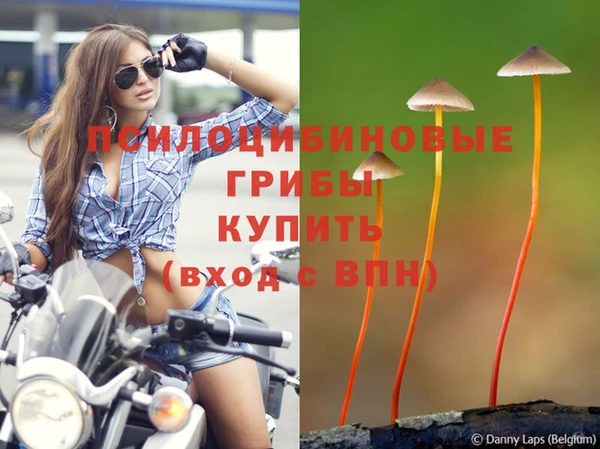 кокс Киреевск