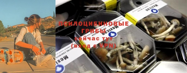 молекула духа Касимов